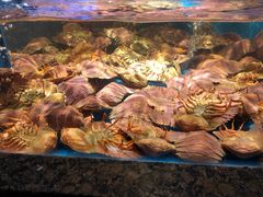 -拉完海鲜大排档(温岭店)