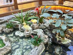 -野人先生现做冰淇淋(西安赛格店)