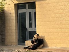 -辛玛王国游乐园