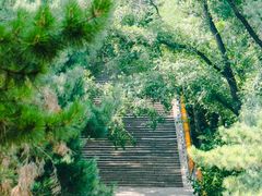 -沈阳市东陵公园
