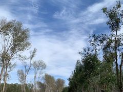 -东郊湿地公园