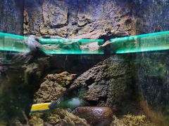 -海南热带野生动植物园