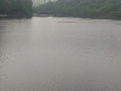 -重庆彩云湖湿地公园
