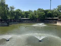 -尚庄度假村·庭台树下·户外烧烤·团建CS·轰趴营地(上庄水库店)