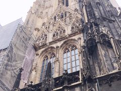 -斯蒂芬主教座堂(Stephansdom)
