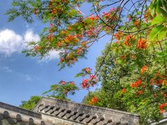 -广州神农草堂中医药博物馆