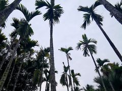 -三亚海棠湾万丽度假酒店