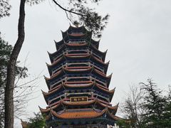 -铁山坪森林公园