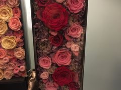 -BEAST野兽派(上海浦东嘉里城店)