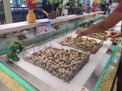 -加尔森烤肉海鲜·火锅烧烤自助