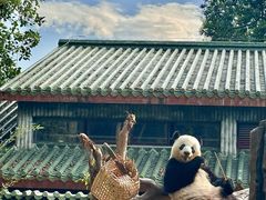 -广州动物园
