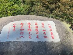 -庐山风景区花径公园