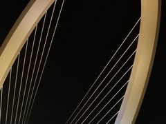 -南京眼步行桥