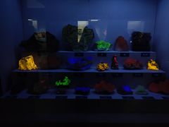 -湖南省地质博物馆