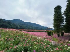 -广州市石门国家森林公园