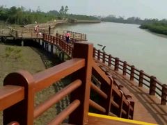 -东寨港红树林旅游区