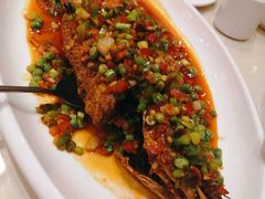 干烧黄鱼-玉华台饭庄(望京店)
