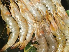 -九田家黑牛烤肉料理(中北镇店)