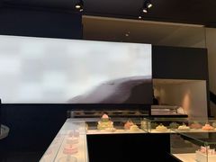 -BLACKSWAN黑天鹅(环球店)