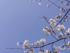 -西北湖绿化广场