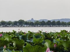 -北山街历史文化街区