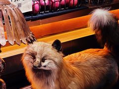 -杂咖zacup(领展中心城店)