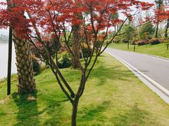 -枫香湖儿童公园