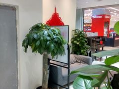 -谈·PIANO(金唐新光界店)