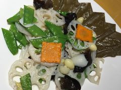 -素虎小呆鸟(西二旗店)