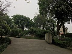 -大渡口区义渡公园