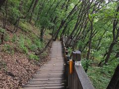 -帽儿山国家森林公园