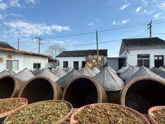 -苏州市吴中区光福窑上花果蜜饯厂