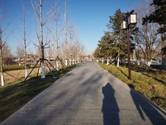 -西海子公园