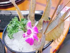 -捞围鲜·港式打边炉(海阳路店)