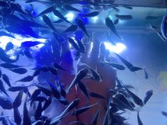 -汤连得温泉馆(宝山店)