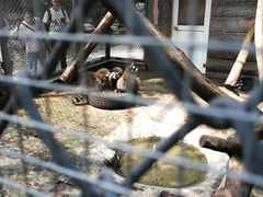 -西安秦岭野生动物园