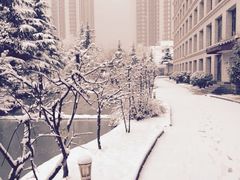 -曲江惠宾苑宾馆(大雁塔大唐不夜城店)