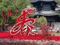 -荔湾湖公园