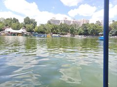 -莲湖公园