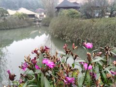 -咸宁万豪温泉谷度假区