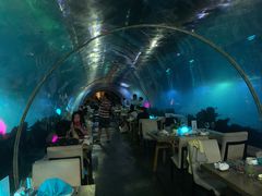 -海棠湾洲际-涛·海底餐厅·美人鱼·自助餐·海底隧道
