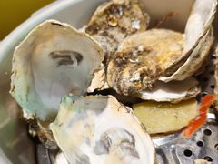 烤生蚝-小竹签烤肉纸包鱼小龙虾(唐韵路店)