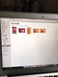 -西瓜庄园儿童摄影