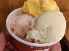 香草甜筒冰淇淋-松子料理(世纪城店)