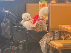 -探鱼·鲜青椒爽麻烤鱼(正佳广场店)