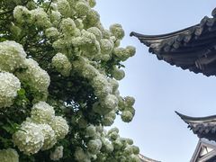 -常熟方塔园