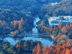 -九曜山