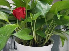 -清华同方科技广场美食广场