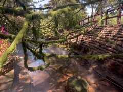 -山叶口景区