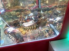 -金逸影城(中关村店)